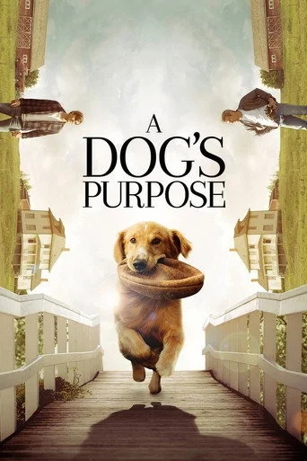 A Dog’s Purpose (2017) BluRay [English With Subtitles] Full Movie 480p | 720p | 1080p